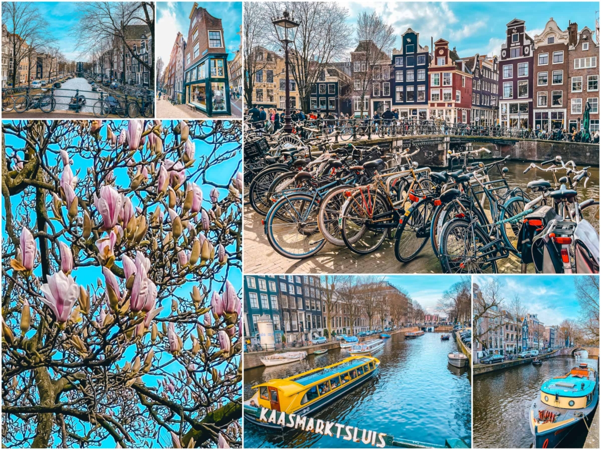 Amsterdam-Wenecja Północy